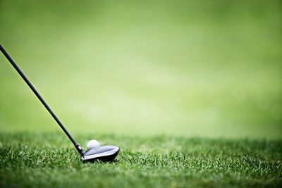 Golf Tees in Asheville, North Carolina